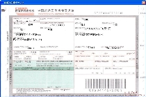 中国速递国际快件发递单