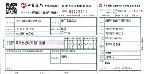 中国银行机构外汇活期转帐凭证1